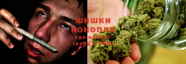 шишки Алексеевка