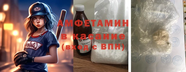 индика Алексин