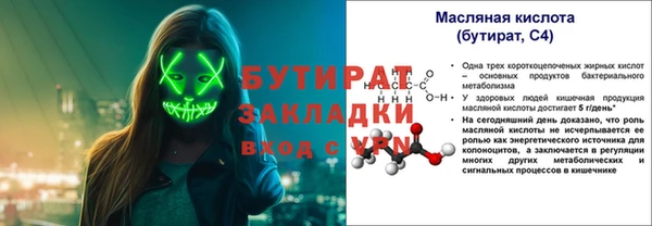 индика Алексин