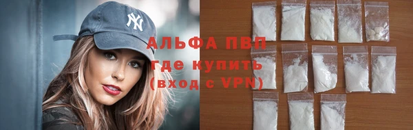 индика Алексин