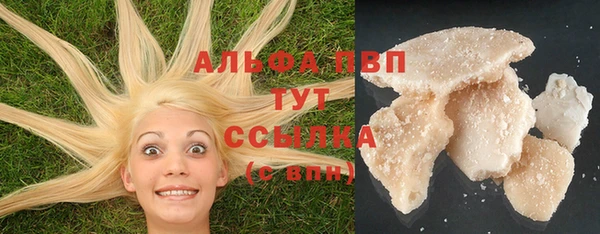 индика Алексин