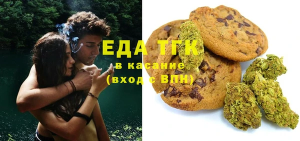 индика Алексин