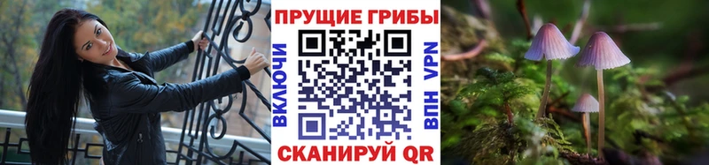 Купить закладки  Новоаннинский  Галлюциногенные грибы MAGIC MUSHROOMS 